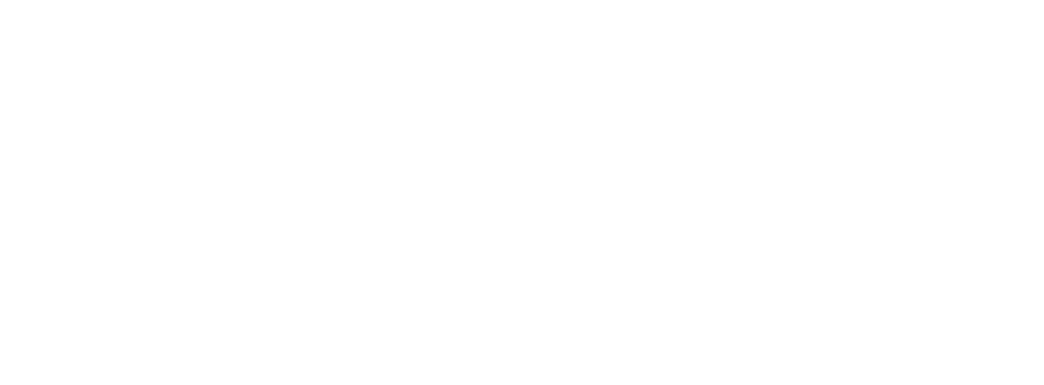 Logo de l'Institut de Discernement Professionnel sur fond bleu